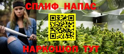 шишки Свободный