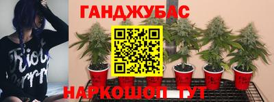 прущие крисы Севастополь